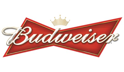 BUDWEISER 2008 COMMUNICATION PLATFORM